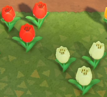 Animal Crossing New Horizons, hybrid flowers, flower proliferation: how does it work?